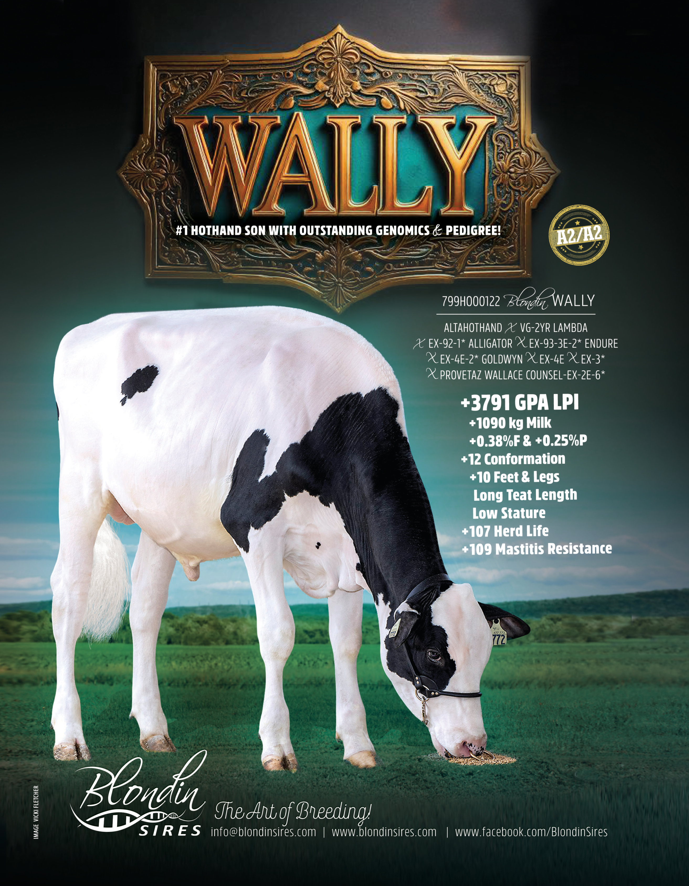 WALLY — 799HO00122